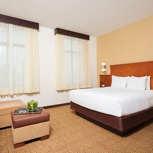 King Room Sofa Bed High Floor